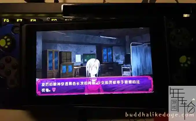 switch使用Lakka和RetroArch模拟运行PSP、街机、3DS、Wii游戏图文教程